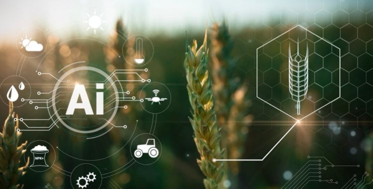Digital farming e intelligenza artificiale