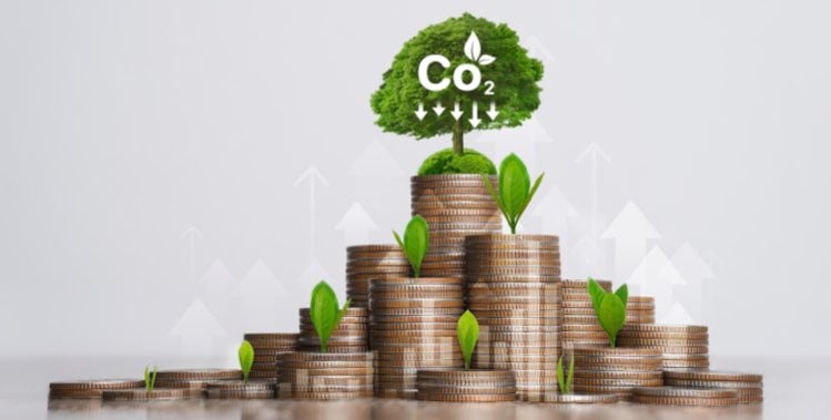 Come funzionano i crediti di carbonio in agricoltura