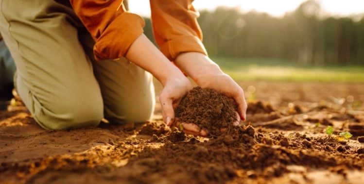 Carbon farming