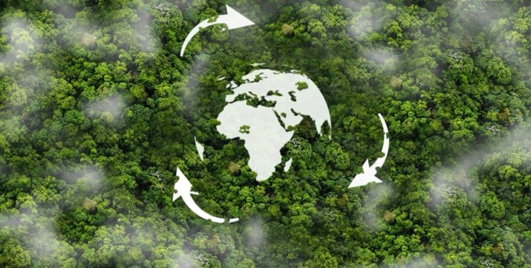 Zero emissions day sostenibilità